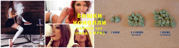 стаф Вяземский