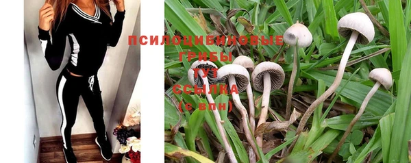 марки nbome Вязники