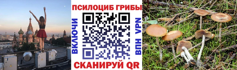 МЕГА как зайти  Дрезна  сайты даркнета Telegram  что такое   Галлюциногенные грибы Psilocybine cubensis 